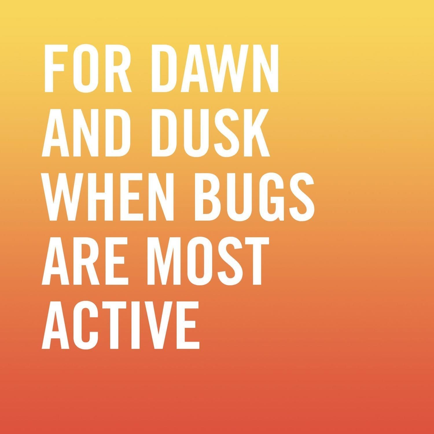 Avon Skin So Soft Bug Guard Plus IR3535 Picaridin Aerosol Sprays 4 oz – 2 Pack