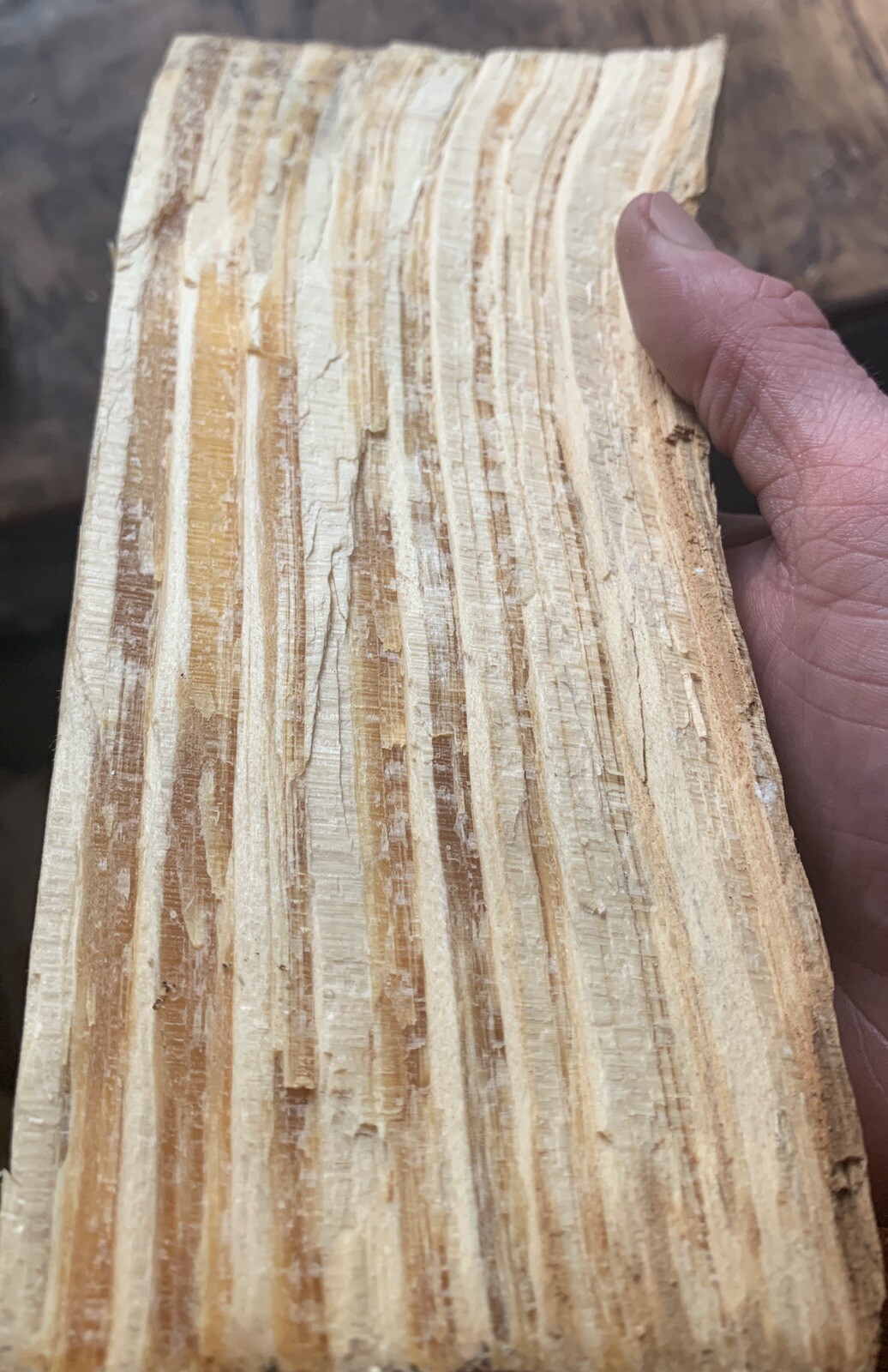 Premium Pure Hot Lasting Fatwood Log 1lb 7.1oz Sticky All Natural Safe Easy