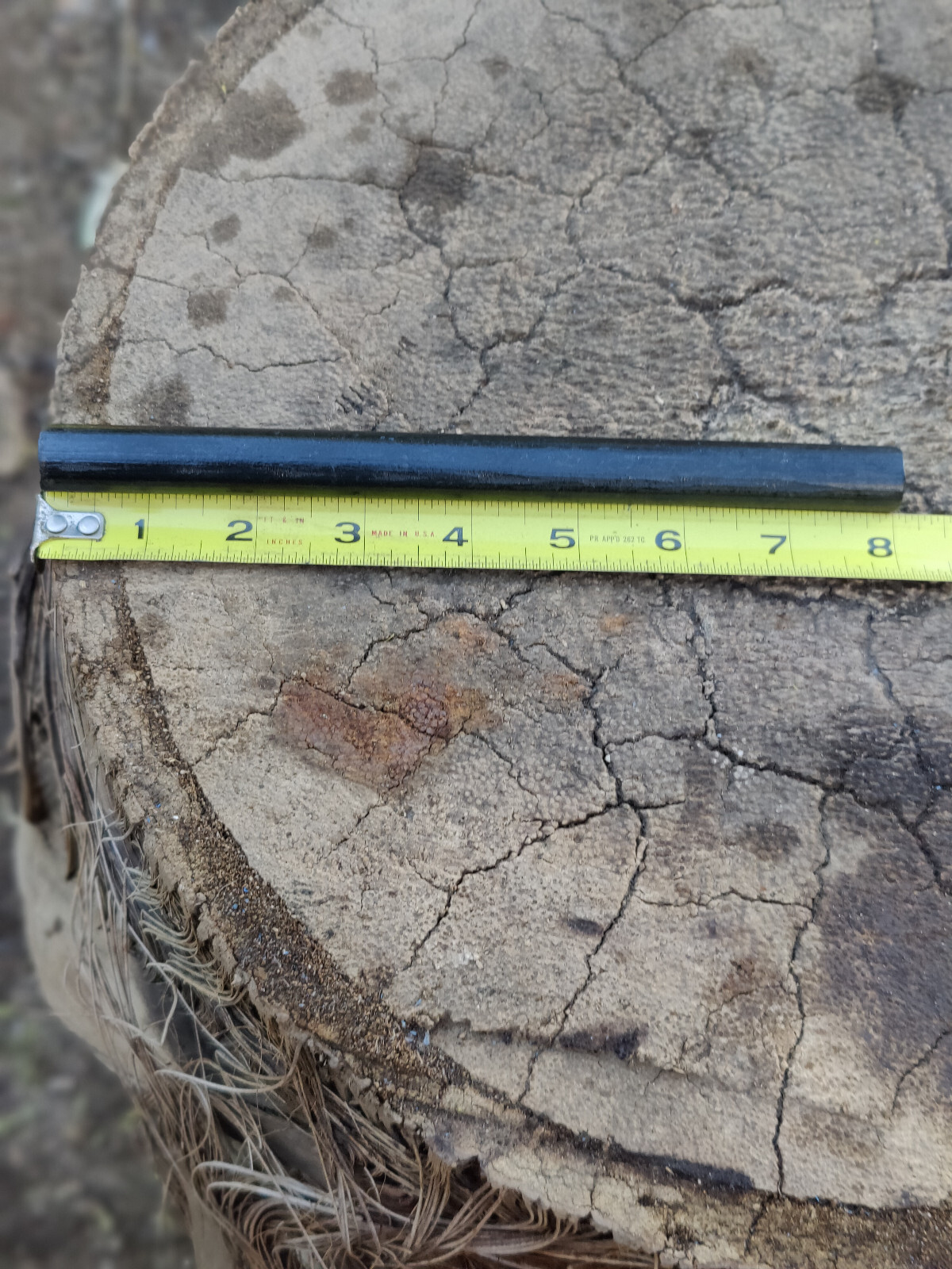 Bushcraft 5/8″ diameter by 8″ or 5″ long ferrocerium rod mischmetal ferro rod