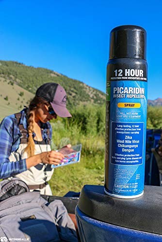 Sawyer Products SP576 20% Picaridin 6 Fl Oz (Pack of 1), Continuous Spray