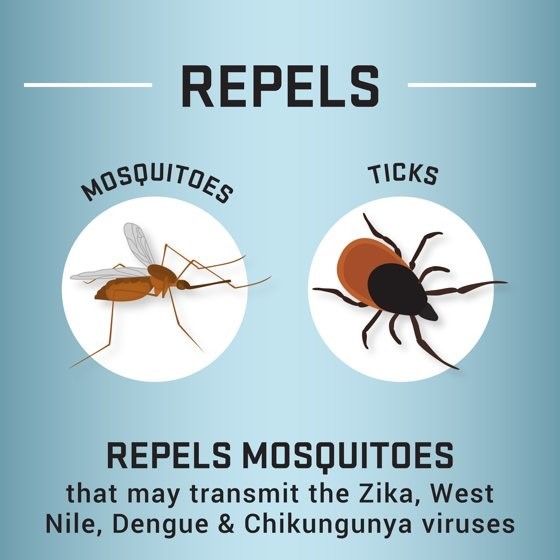 2 pack Repel Insect and Mosquito Repellent Family Pump Spray, DEET-Free Bug Spra