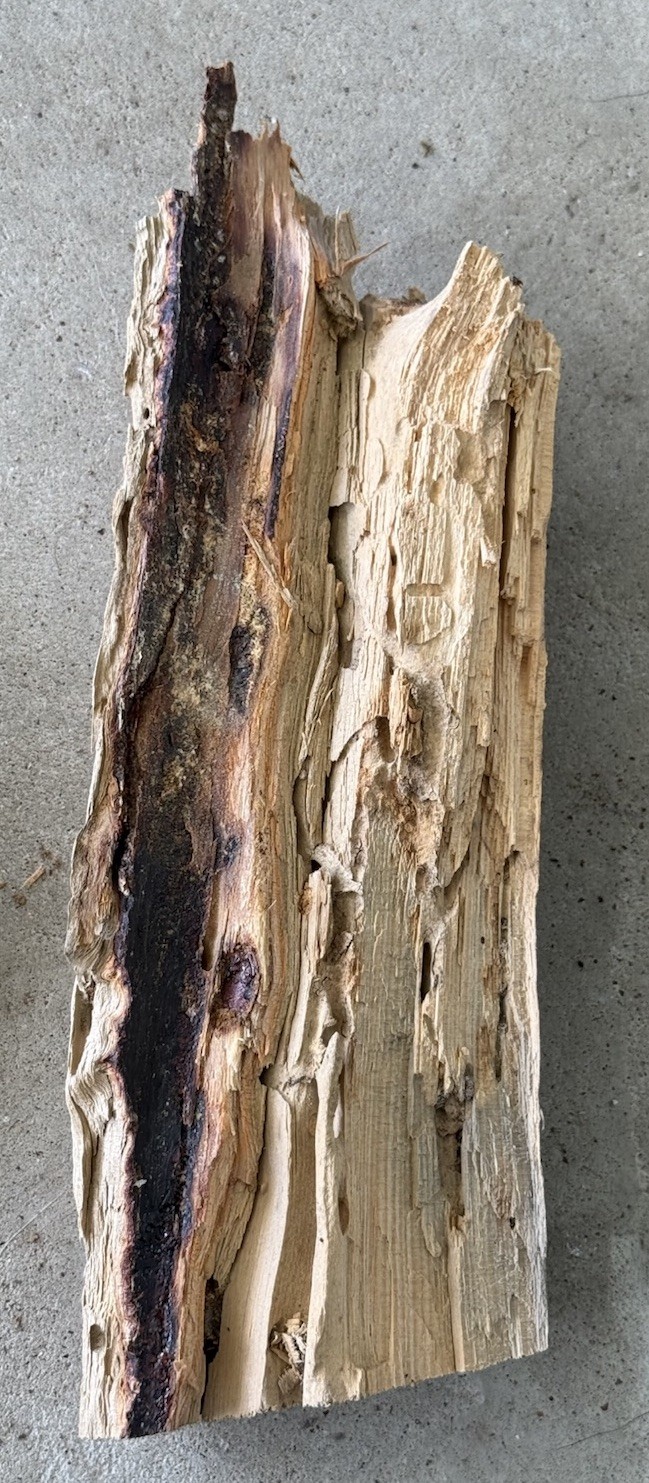 Solid Resin Core Exceptional Hot Lasting Fatwood Log 1LB 7.9 OZ Sticky
