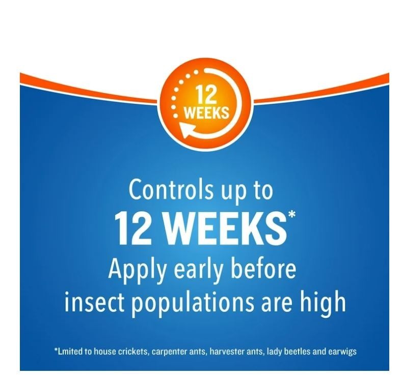 Cutter Backyard Bug Control Spray Concentrate, Fleas,Mosquito Repellent,32 fl oz