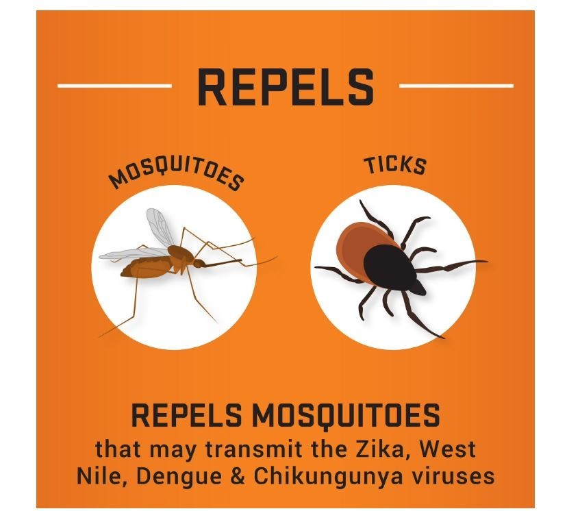 (4 pack) Repel Sportsmen Max Formula Insect Repellent Aerosol Spray 8.125 Ounces