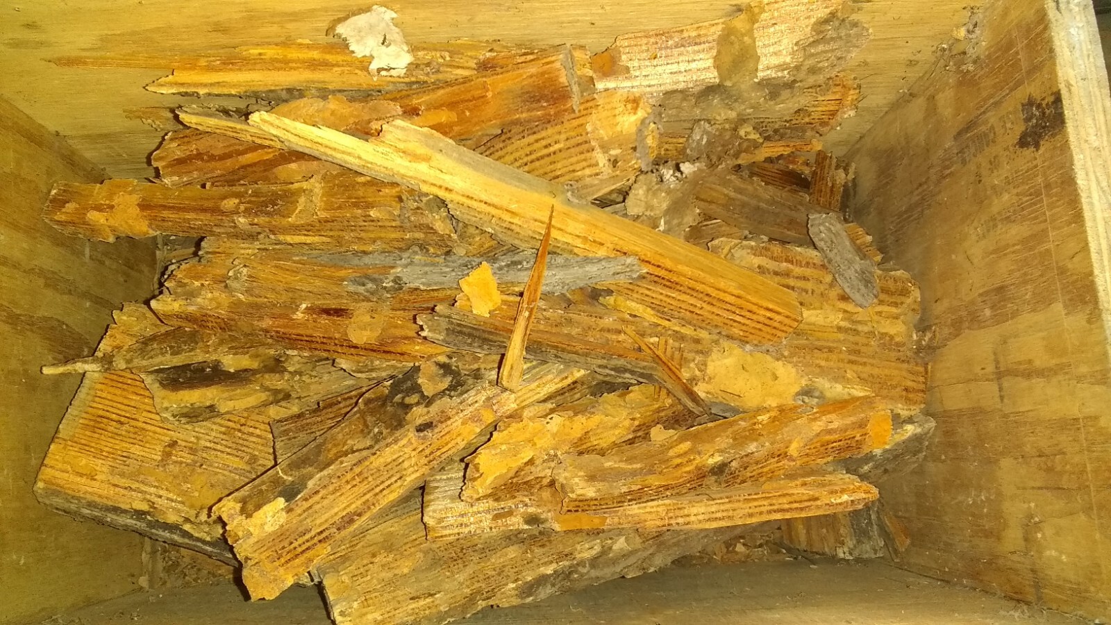 1 lb Fatwood starter pine Tinder Fire Starter Fat Wood Hunting Fireplace 32 oz